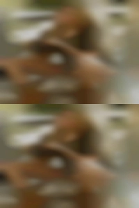 Sex and more sex versatile looking for female couples bi-male.